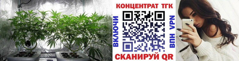 блэк спрут   наркотики  Ахтубинск  ТГК концентрат 