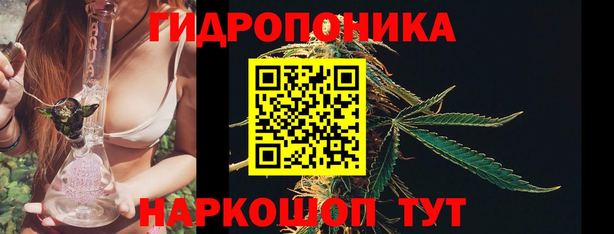 Конопля White Widow  Марихуана план  МАРИХУАНА марихуана  Ахтубинск  Каннабис THC 21%  Вход с VPN 